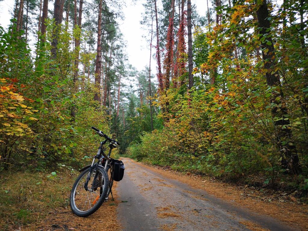 Wycieczka rowerowa na Podlasiu przez Puszczę Knyszyńską podczas której turysta zrobił zdjęcie roweru i widoku na piękny las.