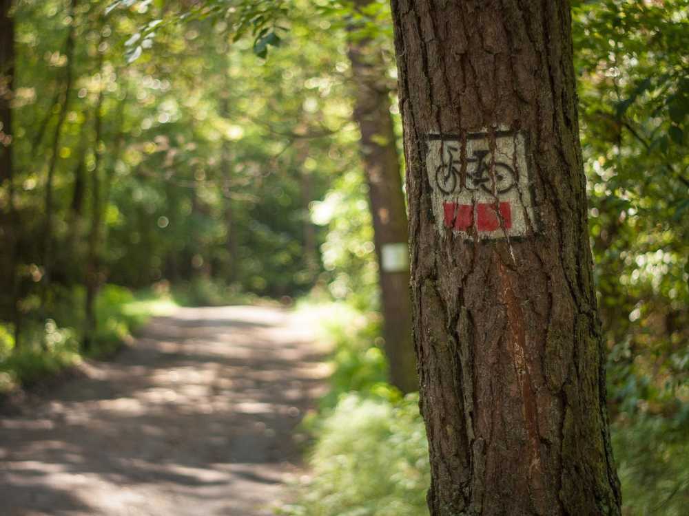 znaki na drzewach w lasach dla rowerzystow w Bialystoku