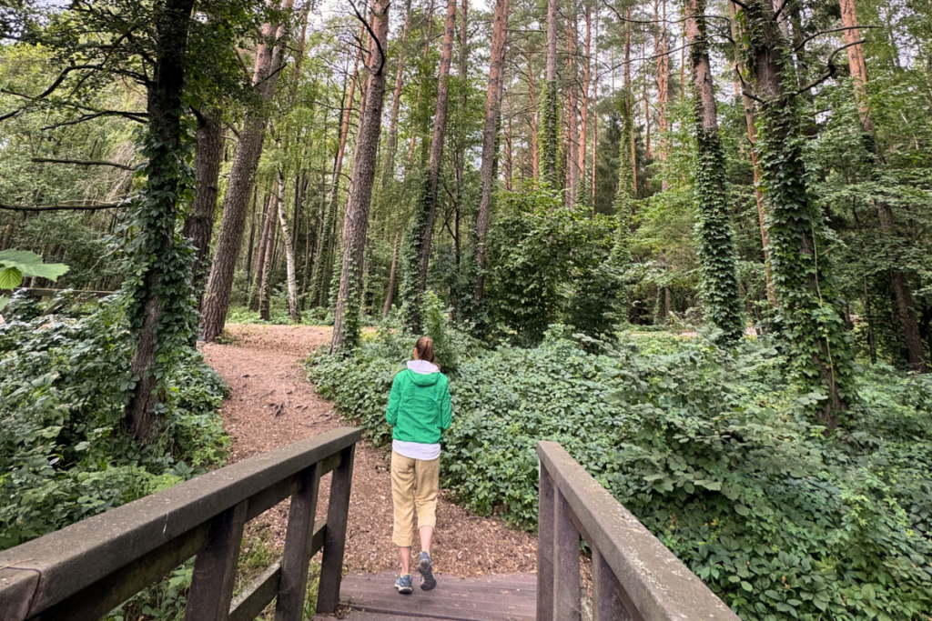 Widok na Zatokę Słupiańską ze ścieżki edukacyjnej Jeziora niedaleko Gawrych Rudy – uważne wędrowanie przez Wigierski Park Narodowy.